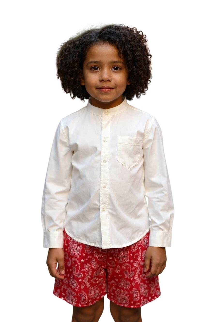 Edgehill Collection $64 Boys Woven Long Sleeve Shirt & Shorts Set Size 5